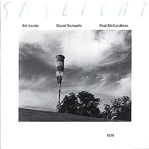 Skylight - Lande Art - Music - SUN - 0731453102521 - February 25, 1996