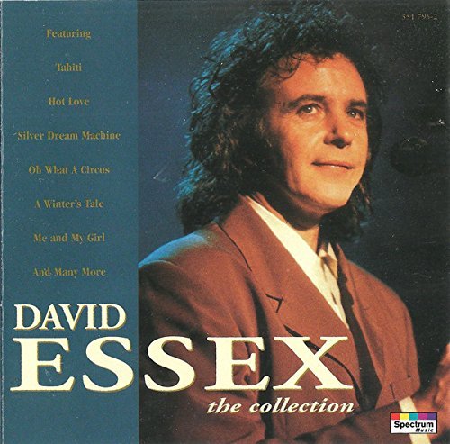Cover for David Essex · The collection (CD) (2002)