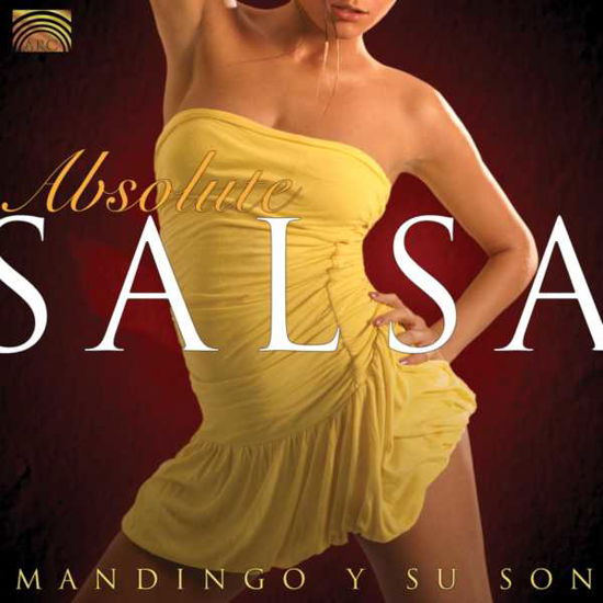 Cover for Mandingo Y Su Son · Absolute Salsa (CD) (2008)