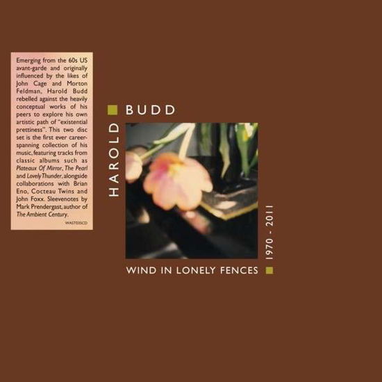 Wind In Lonely Fences 1970-2011 - Harold Budd - Music - All Saints - 0801061103521 - November 28, 2013