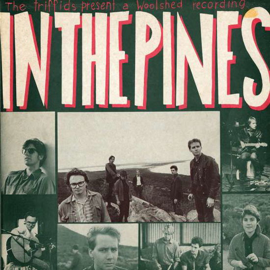 Cover for Triffids · In the Pines (CD) (2007)