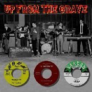 Cover for Up from the Grave / Various (CD) [Remastered edition] (2010)