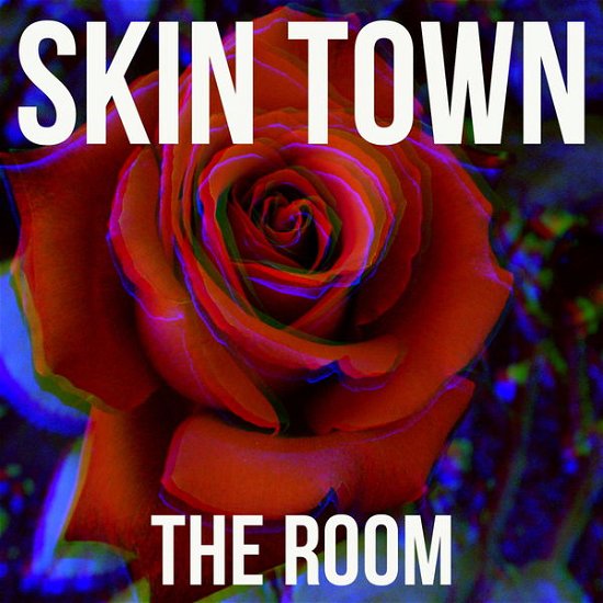 Cover for Skin Town · The Room (CD) (2013)