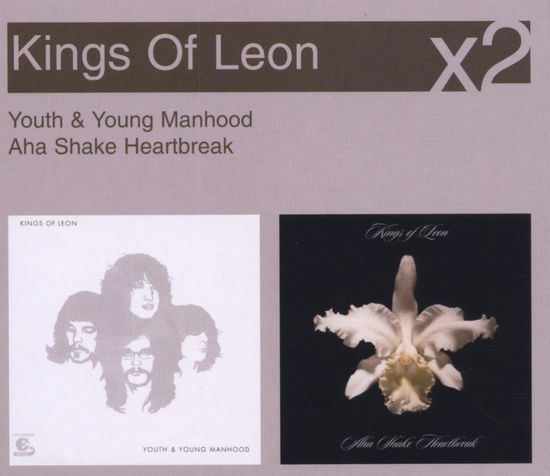 Youth & Young Manhood / Aha Shake Heartbreak - Kings of Leon - Musikk - SONY MUSIC - 0886970035521 - 8. januar 2008