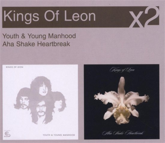 Cover for Kings of Leon · Youth &amp; Young Manhood / Aha Shake Heartbreak (CD) (2008)