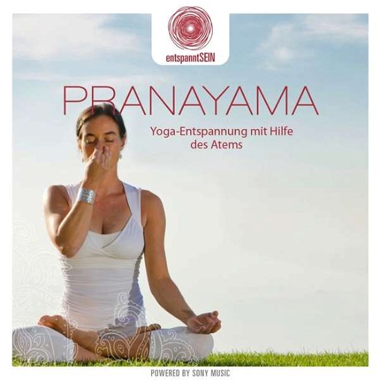 Entspanntsein - Pranayama (Yoga-entspannung Mit Hi - Davy Jones - Musiikki - SONY - 0888751988521 - perjantai 17. kesäkuuta 2016