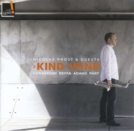 Cover for Nicolas Prost · A Kind of Wind (CD)