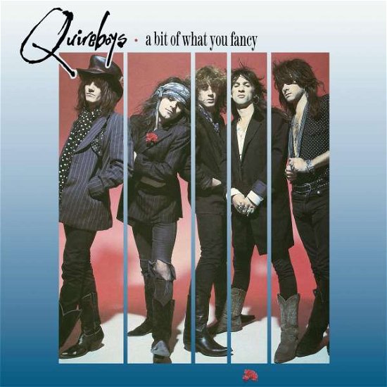 A Bit of What You Fancy - The Quireboys - Music - EMI - 5099945698521 - February 17, 2011