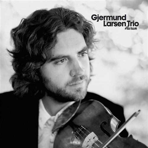 Aurum - Gjermund Larsen Trio - Muziek - HEILO - 7033662072521 - 8 november 2010