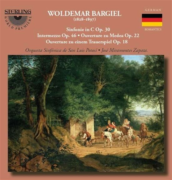 Cover for Bargiel / Orquesta Sinfonica De San Luis Potosi · Orchestral Works (CD) (2013)