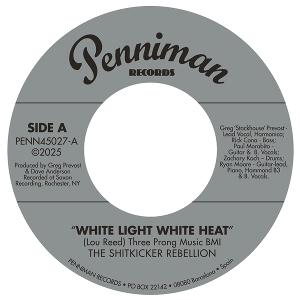 Cover for The Shitkicker Rebellion · White Light White Heat - 99th Floor (LP) (2025)