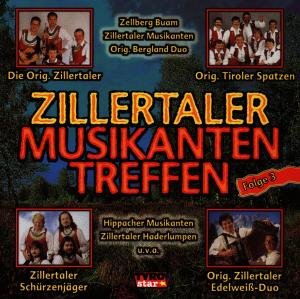 Zillertaler Musikantentreffen Vol. 3 - Various Artists - Musikk - TYROLIS - 9003549772521 - 17. februar 1998