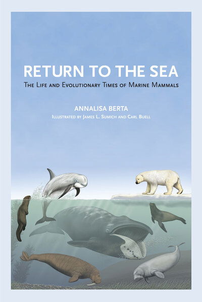 Cover for Annalisa Berta · Return to the Sea: The Life and Evolutionary Times of Marine Mammals (Paperback Book) (2020)