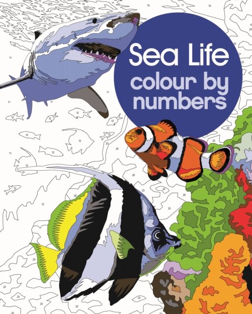 David Woodroffe · Sea Life Colour by Numbers - Arcturus Colour by Numbers Collection (Paperback Bog) (2024)
