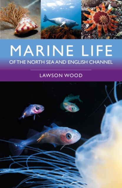 Cover for Lawson Wood · Marine Life of the North Sea and English Channel (Pocketbok) (2025)