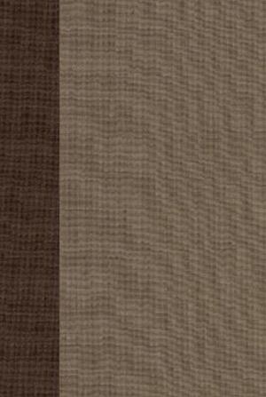 Cover for ESV Reader's Bible (Hardcover Book) (2025)