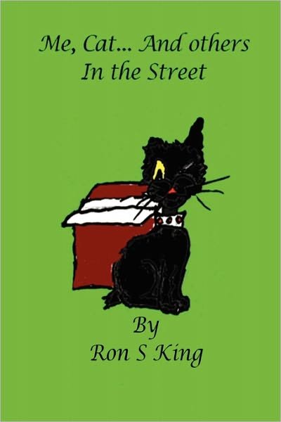 Me, Cat and Others in the Street - Ron S King - Livros - lulu.com - 9781446117521 - 22 de outubro de 2010