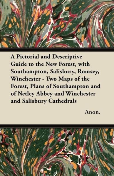 Cover for Anon. · A Pictorial and Descriptive Guide to the New Forest, with Southampton, Salisbury, Romsey, Winchester - Two Maps of the Forest, Plans of Southampton and of Netley Abbey and Winchester and Salisbury Cathedrals (Taschenbuch) (2012)