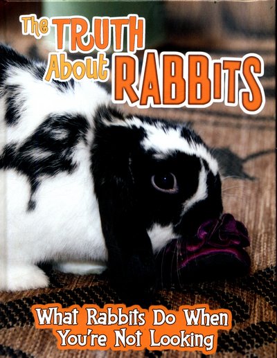 Cover for Mary Colson · The Truth about Rabbits: What Rabbits Do When You're Not Looking - Pets Undercover! (Gebundenes Buch) (2017)
