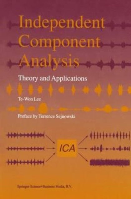 Cover for Te-Won Lee · Independent Component Analysis: Theory and Applications (Taschenbuch) (2013)