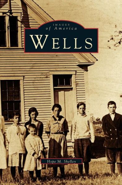 Cover for Hope M Shelley · Wells (Hardcover Book) (2003)