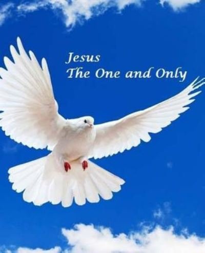 Jesus, the One & Only - Ibn Kathir - Bøger - Createspace Independent Publishing Platf - 9781532966521 - 26. april 2016