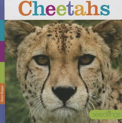 Cover for Kate Riggs · Cheetahs (Seedlings) (Hardcover Book) (2014)