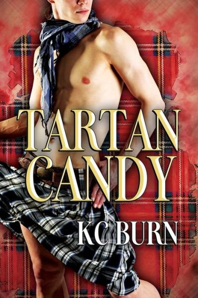 Cover for KC Burn · Tartan Candy - Fabric Hearts (Taschenbuch) [New edition] (2016)
