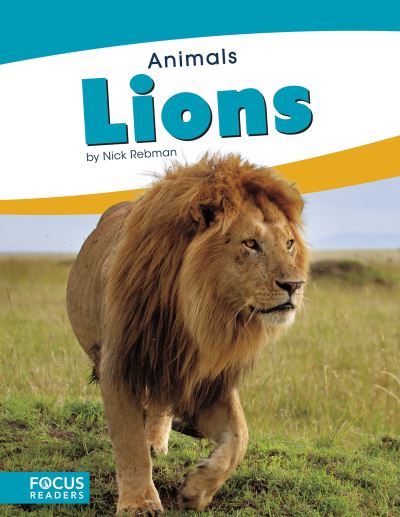 Cover for Nick Rebman · Animals: Lions (Paperback Book) (2018)