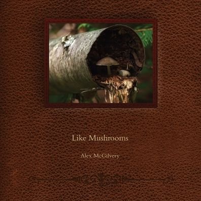 Cover for Alex McGilvery · Like Mushrooms (Paperback Book) (2020)