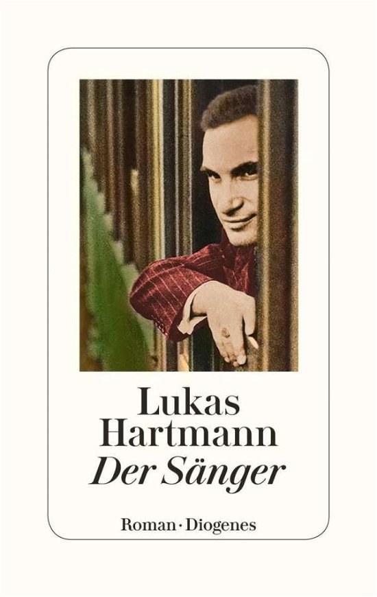 Der Sänger - Hartmann - Livres -  - 9783257070521 - 