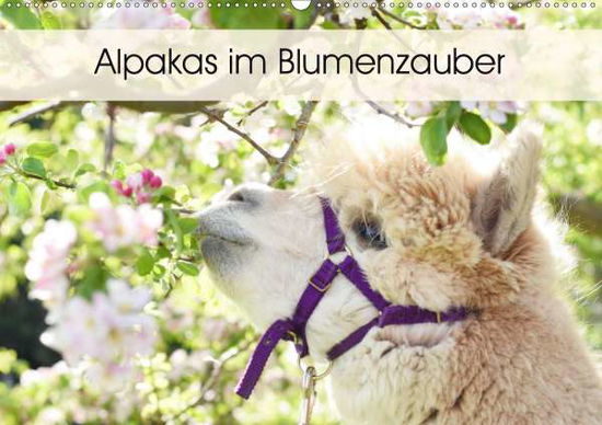 Cover for Rentschler · Alpakas im Blumenzauber (Wan (Book)