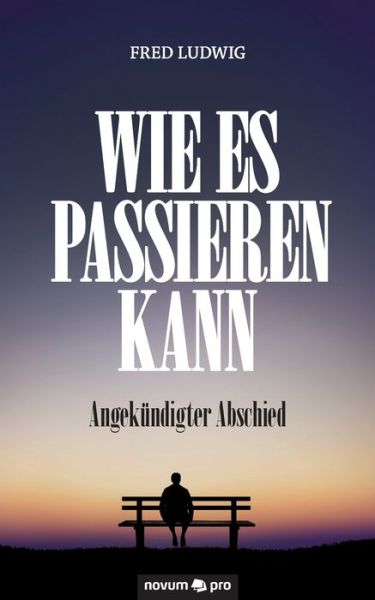 Cover for Ludwig · Wie es passieren kann (Buch) (2019)