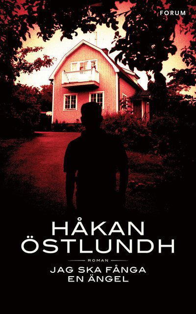 Cover for Håkan Östlundh · Jag ska fånga en ängel (ePUB) (2010)