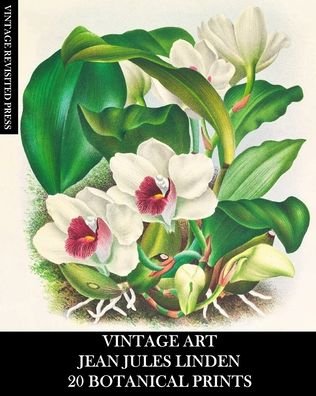 Vintage Revisited Press · Vintage Art: Jean Jules Linden: 20 Botanical Prints: Orchid Ephemera for Framing, Home Decor, Collage and Decoupage (Paperback Book) (2024)