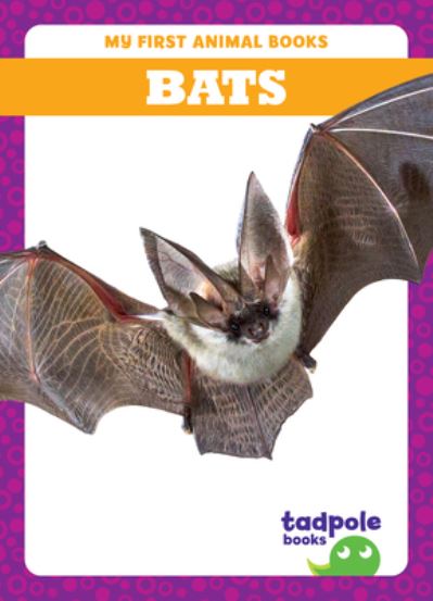 Cover for Natalie Deniston · Bats - My First Animal Books (Hardcover Book) (2024)