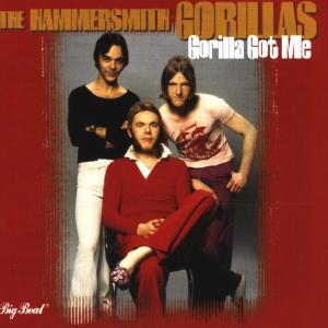 Gorilla Got Me - Hammersmith Gorillas - Musiikki - BIG BEAT RECORDS - 0029667418522 - maanantai 3. toukokuuta 1999