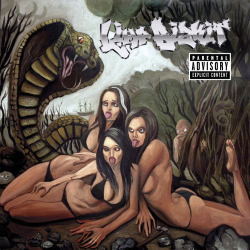 Gold Cobra - Limp Bizkit - Musik - UNIVERSAL MUSIC - 0602527711522 - 27. Juni 2011