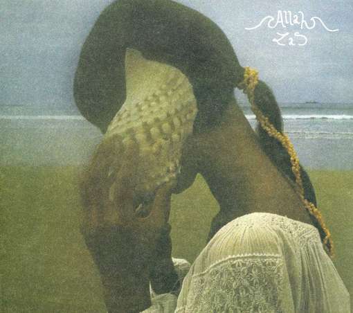 Cover for Allah Las (CD) (2012)