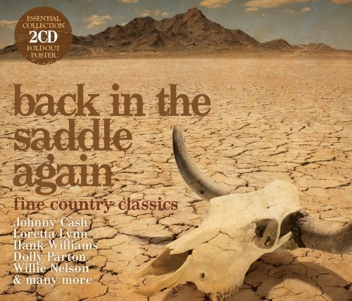Cover for Back in the Saddle Again: Fine (CD) (2020)