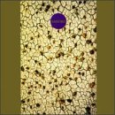 Cover for Derek &amp; Ruins · Saisoro (CD) (1995)