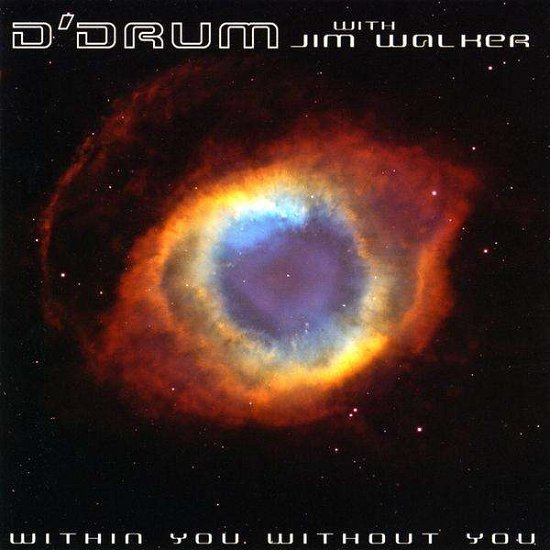 Cover for D · Within You Without You (CD) (2009)