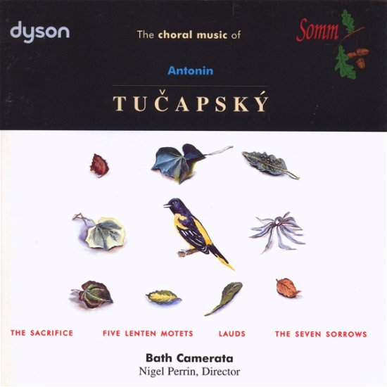 Cover for Tucapsky / Perrin / Bath Camerata · Choral Music (CD) (1996)