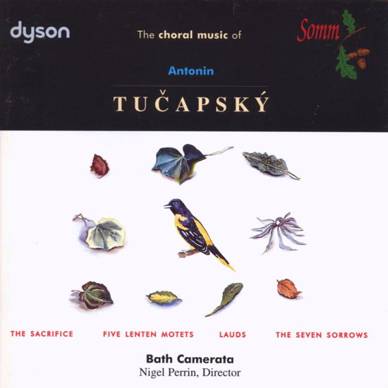 Choral Music - Tucapsky / Perrin / Bath Camerata - Musik - SOM - 0748871220522 - 21. maj 1996