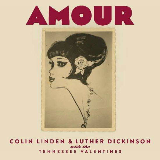 Amour - Colin Linden & Luther Dickinson - Muziek - STONY PLAIN - 0772532140522 - 8 februari 2019