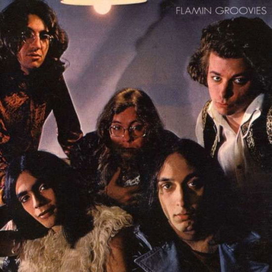 Flamingo - Flamin' Groovies - Musik - AMERICAN - 0783722248522 - 19. januar 2011