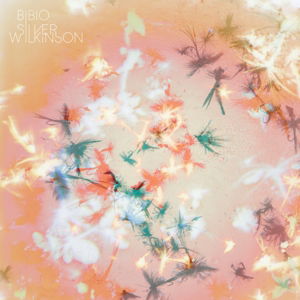 Silver Wilkinson - Bibio - Musiikki - Warp Records - 0801061023522 - tiistai 14. toukokuuta 2013