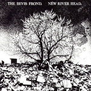 New River Head - The Bevis Frond - Musique - FIRE - 0809236144522 - 11 août 2016