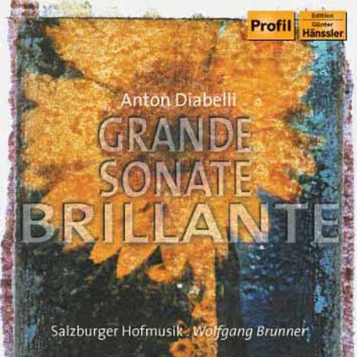 Cover for Diabelli / Brunner / Salzburger Hofmusik · Grand Sonata Brillante (CD) (2005)