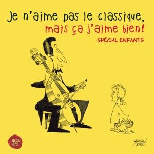 Cover for Je n'aime pas le classique mais ca (CD) (2017)